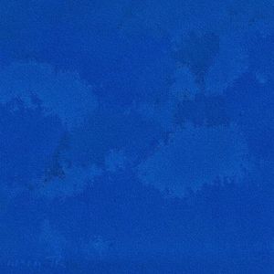 中国大鸡巴强奸美女操小逼嗷嗷哭视频
