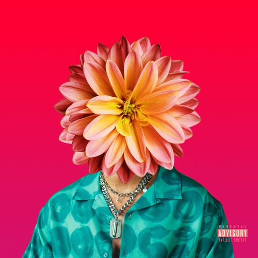 中国大鸡巴强奸美女操小逼嗷嗷哭视频
