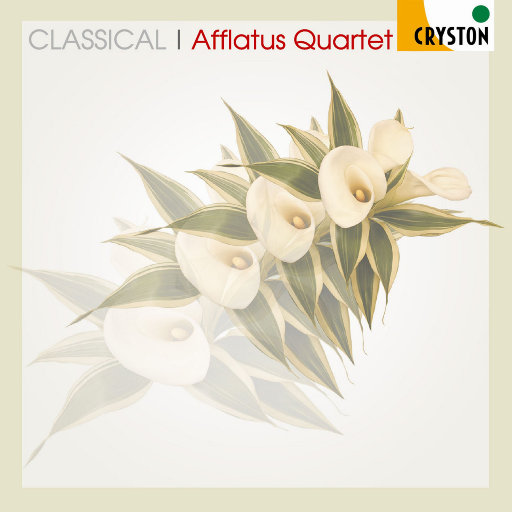 中国大鸡巴强奸美女操小逼嗷嗷哭视频
