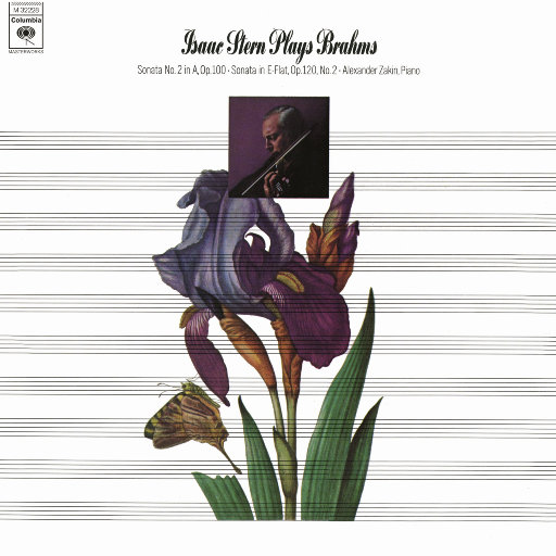 中国大鸡巴强奸美女操小逼嗷嗷哭视频
